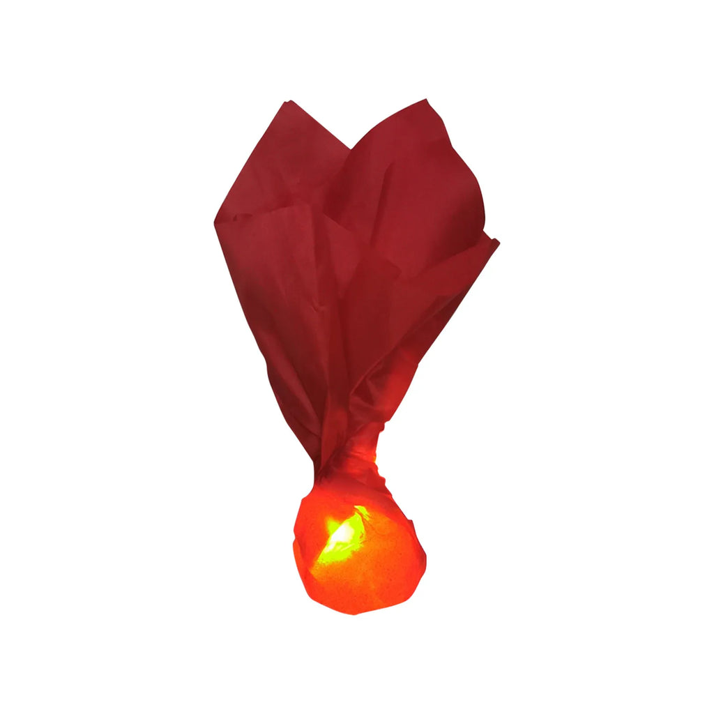 Floating Fireball Lamp – LED Halloween Fire Prop for Cosplay Halloween Party Prop Oasis Select Red One Size