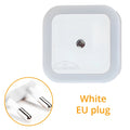 Motion Sensor LED Night Light – Plug-In Smart Wall Lamp