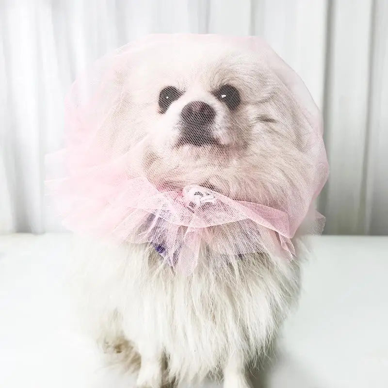 Pet Anti-Mosquito Headgear Random Eating Prevention Breathable Dog Head Cover Pet Protective Mask Comfort Anti-Bite Head Cover Oasis Select Pink