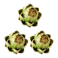 WISH 3-Pack Large Green Faux Artichokes - Artificial Vegetables And Fake Fruits For Kitchen Decorations Oasis Select As Shown NONE