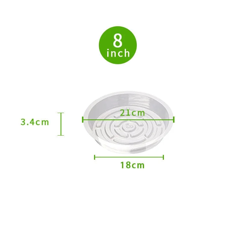 Flowerpot Base Transparent Horticultural Plant Pot Base Anti-Slip Circular Home Pot Tray Waterproof Indoor Outdoor Plant Saucer Oasis Select 8 inches 5pcs