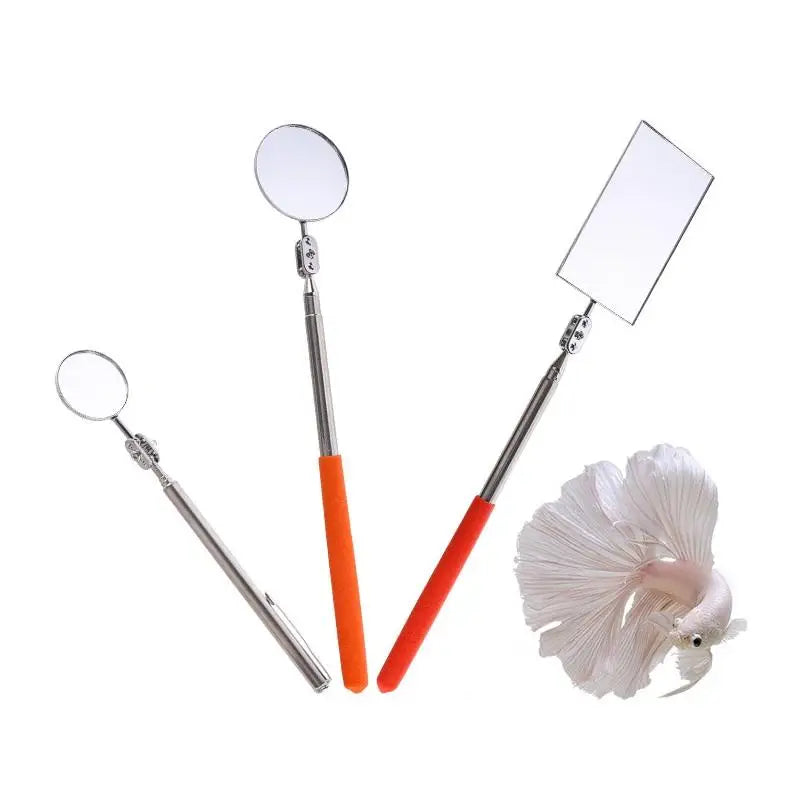 Betta Fish Training Mirror | Extendable Stainless Steel Handle