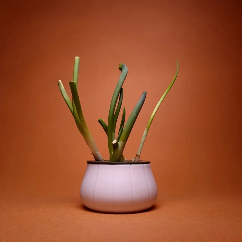 Flowerpot Green Onion Pots for Plants Hydroponic Seeds Mini plastic Home Kitchen Hydroponics Growing System Garden Pots&planters Oasis Select