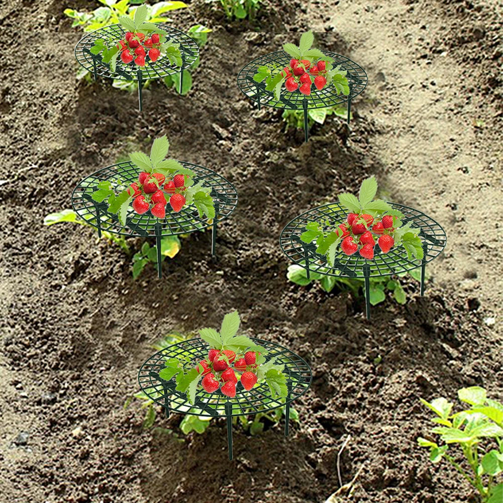 10pcs Plant Support Strawberry Rack Climbing Vine Props Flower Pillar Gardening Bracket Keeping Elevated To Avoid Ground Rot Oasis Select