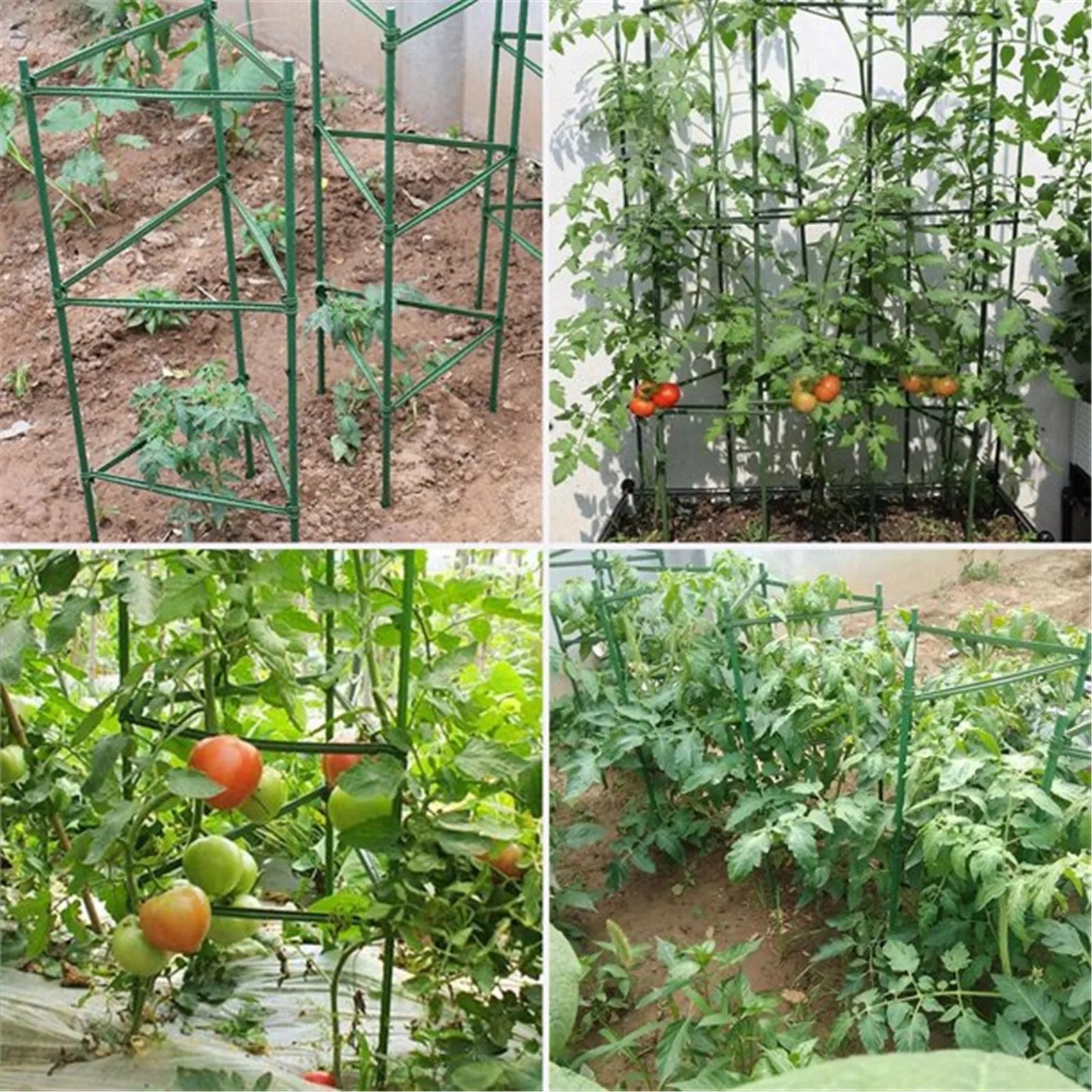 24pcs Garden Vegetable Stakes Plant Cages To Support Plant Growth Anti Overturning Tomato Cages For Vertical Climbing Of Plants Oasis Select