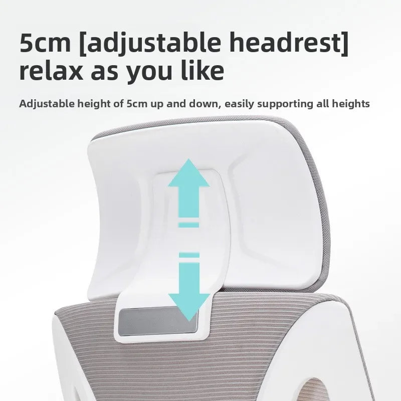 Computer Chair Ergonomic Chair Chair Office Swivel Chair Learning Chair Office Chair Oasis Select