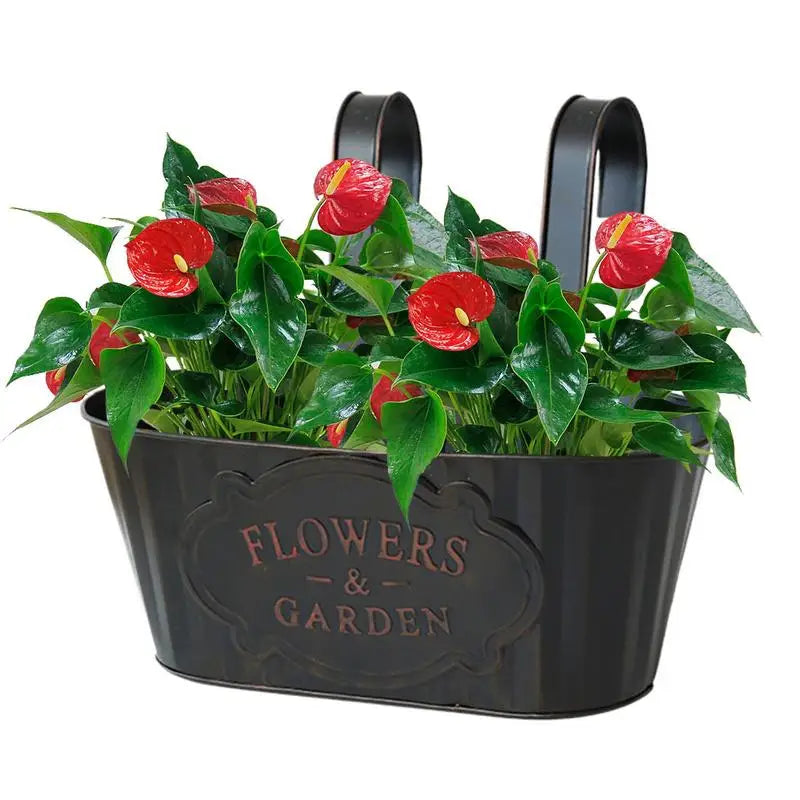 Metal Hangable Deck Planter Railing Planter Countryside Window Flower Boxes for Garden Decoration Plant Pots Houseplant Boxes Oasis Select