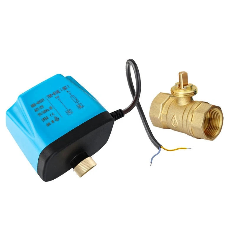 Brass Electric Ball Valve DC12V/24V Three Wire Two Control 1/2 "3/4" 1 "2" Electric Valve Used for Water Solenoid Valve Oasis Select