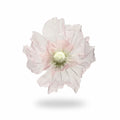Single Flower Head Simulated Flower Silk Mesh Yarn Beautiful Decoration Silk Screen Flower Stand Props Large Poppy Oasis Select Light Pink