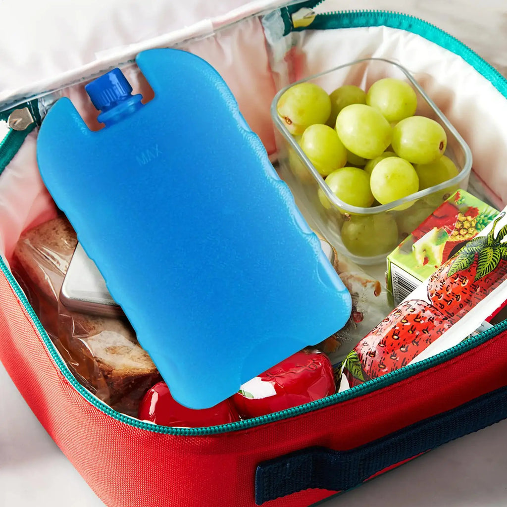 Reusable Ice Box New Keep Fresh Refrigeration Refrigerated Shipping Cooling Box PE Picnic Cooler Box Portable Ice Cooling Pack Oasis Select