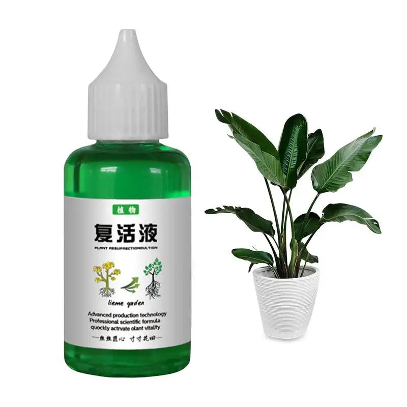 Plant Revitalizer Resurrection Liquid 50ml Fertilizing Liquid Concentrate Fertilizing Liquid Concentrate Plant Promotes Growth Oasis Select 50ML