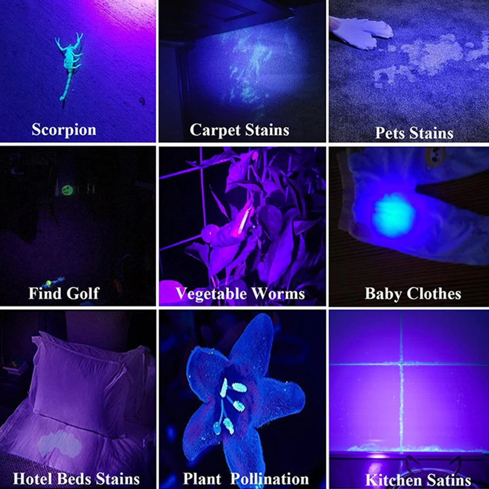 Black Light Flashlight 395nm Ultraviolet Light Torch UV Flashlight UV Light Detector for Pet Urine Stains Scorpion Money Ore Oasis Select