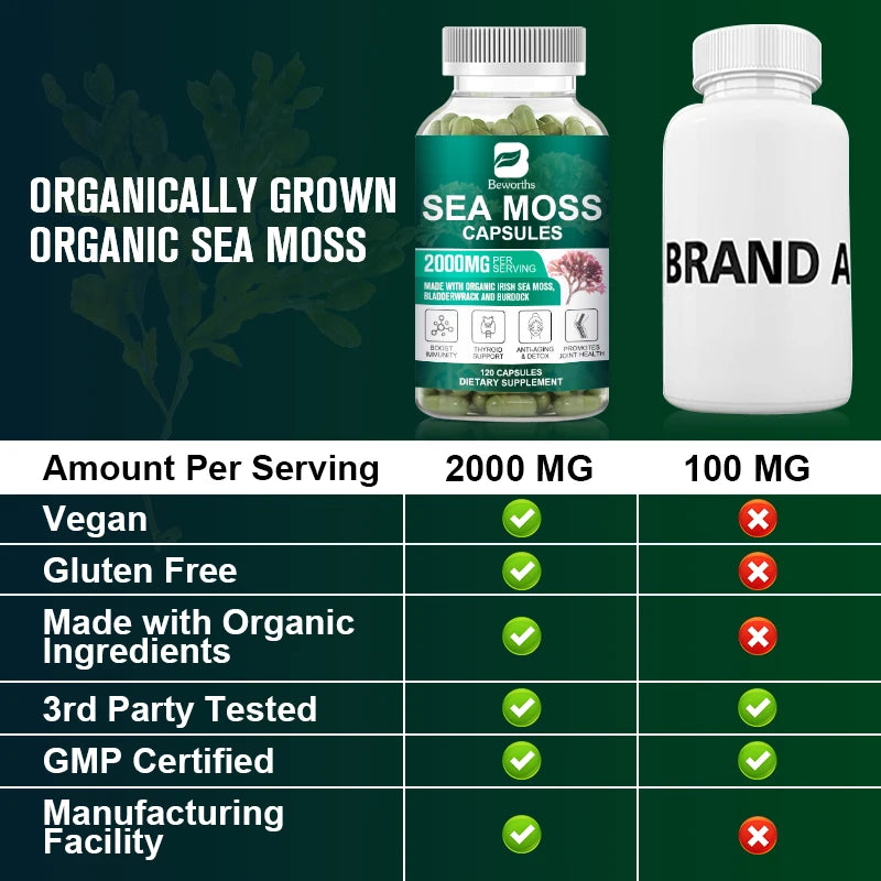 BEWORTHS Organic Sea Moss Pill for Intestinal Health & Immune Support Thyroid Support Skin, Joint Health Support Anti-Aging Oasis Select