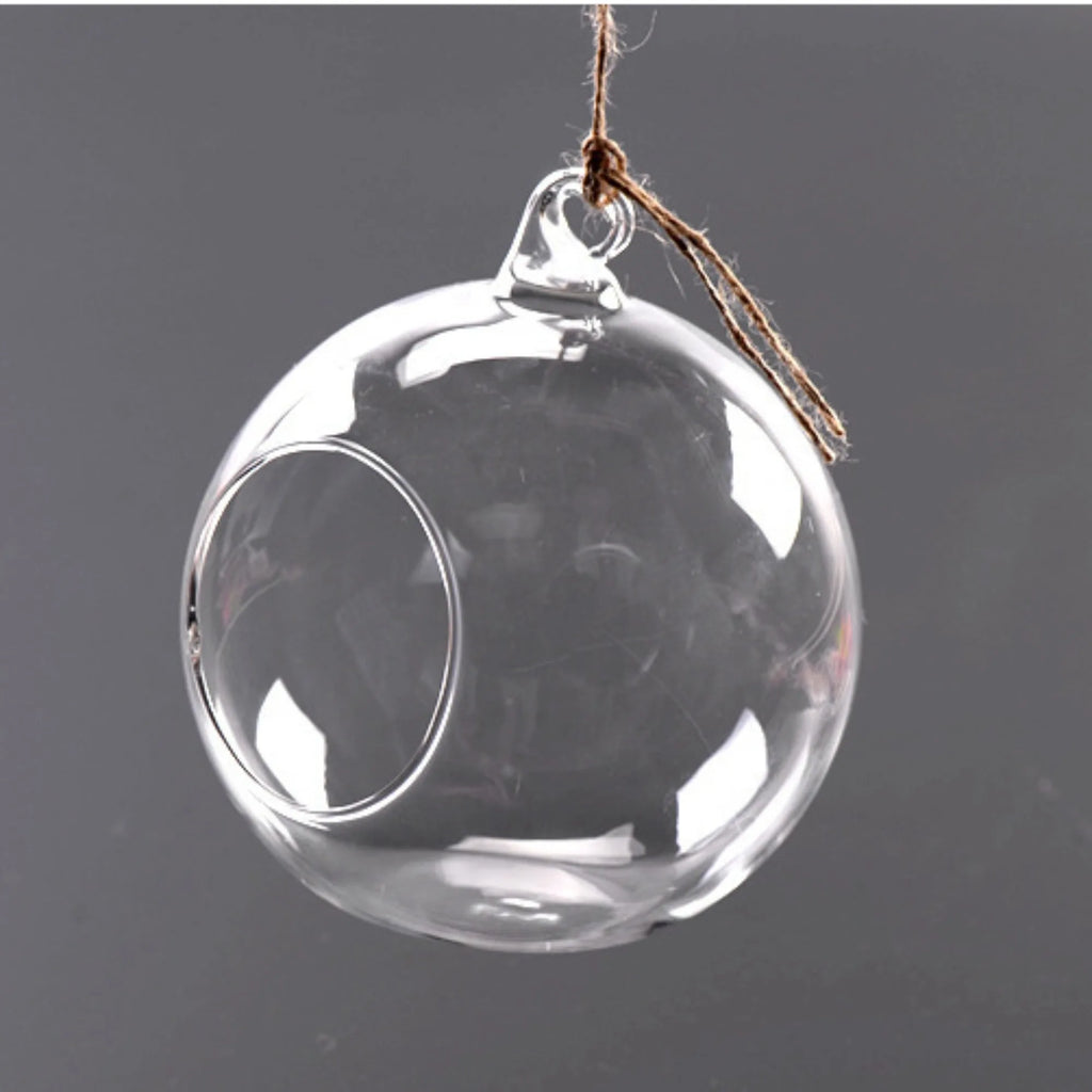 Hanging Glass Vase Creative Transparent Ornaments Hanging Bottle Hydroponic Plant Vase Indoor Home Decoration Bottle Fresh Oasis Select Glass Vase 12cm