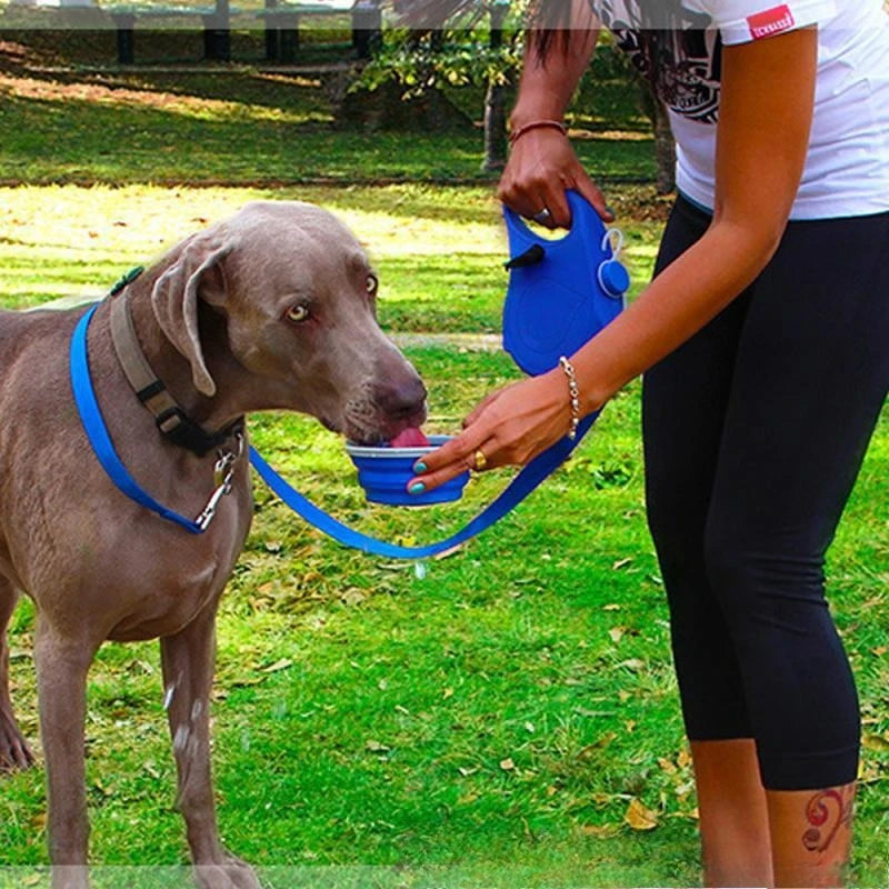 3 In 1 Retractable Dog Leash With Water Bottle Bowl Portable Automatic Lead For Puppy Medium Pet Outdoor Walking Supplies Oasis Select