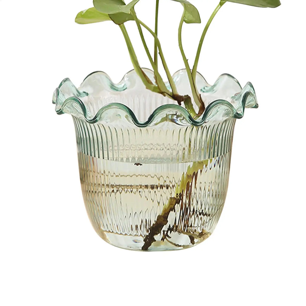 Decorative Vases for Home Decor Water Plant Vase Hydroponic Planter PET Vase transparent Water Plant Vase Hydroponic Planter Oasis Select