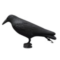 Fake Crow Bird Repellent Decoy – Pigeon & Pest Deterrent Bird Repellent Decoy Oasis Select black L