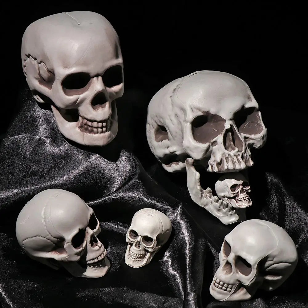 1PC All Size Party Decoration Home Decor Halloween Props Human Skeleton Skull Head Hanging Decor Oasis Select
