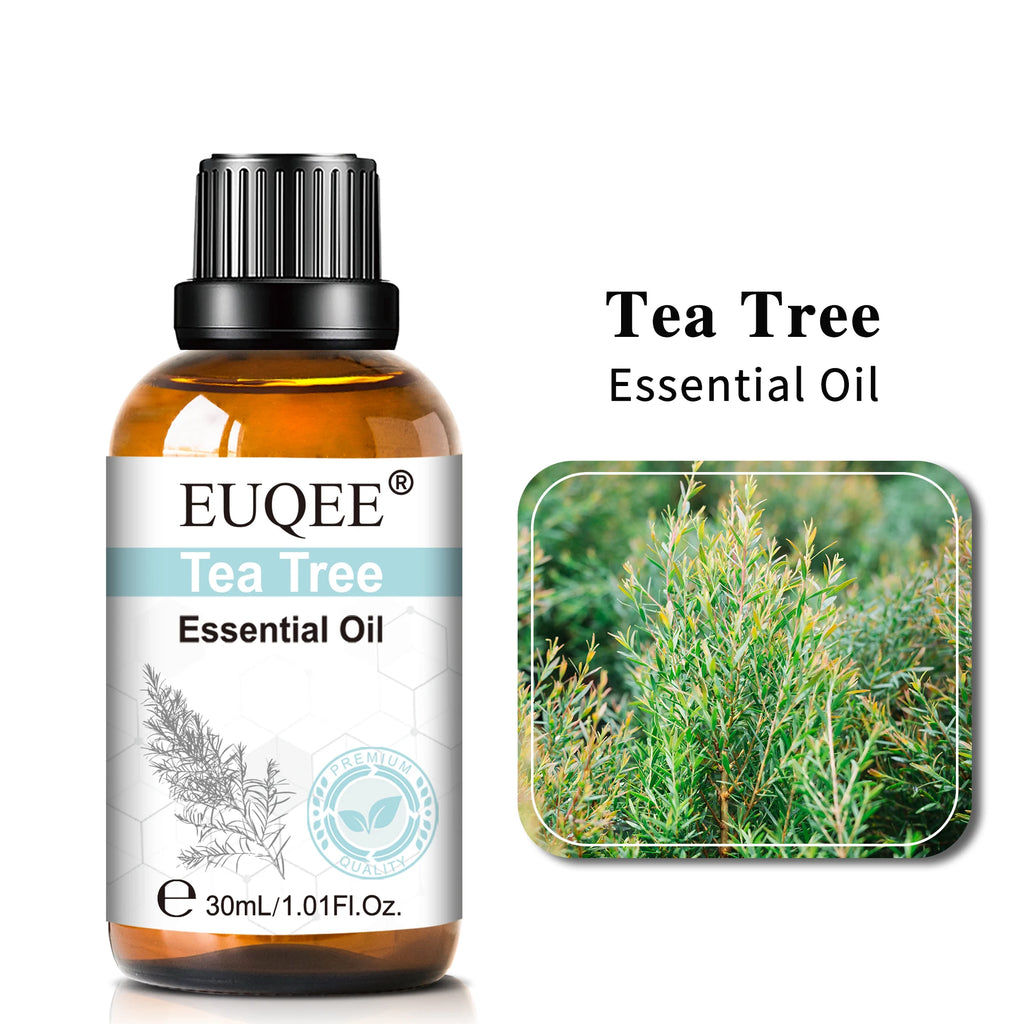 EUQEE 30ml Aromatherapy Essential Oil | Diffuser & Reed Oil