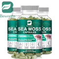 BEWORTHS Organic Sea Moss Pill for Intestinal Health & Immune Support Thyroid Support Skin, Joint Health Support Anti-Aging Oasis Select 3Bottles United States