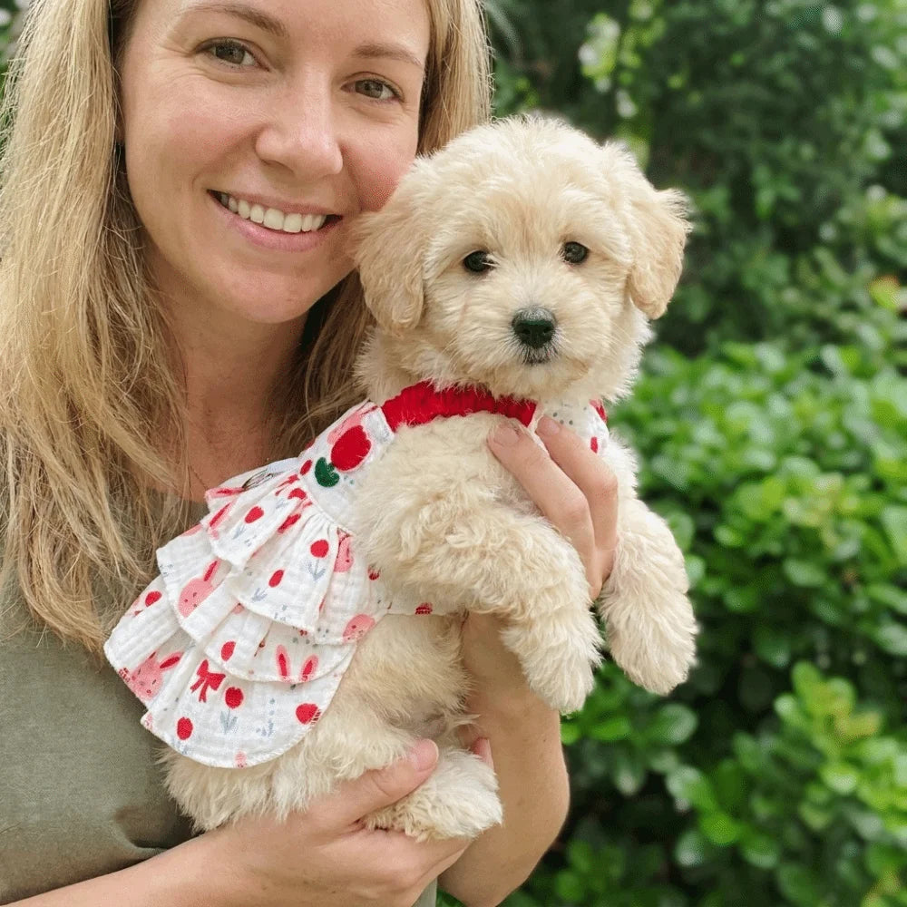 Sweet Style Thin Breathable Dog Cake Skirt Comfortable Lightweight Dog Suspenders Dress Cotton Cartoon Summer Cat Clothes Indoor Oasis Select