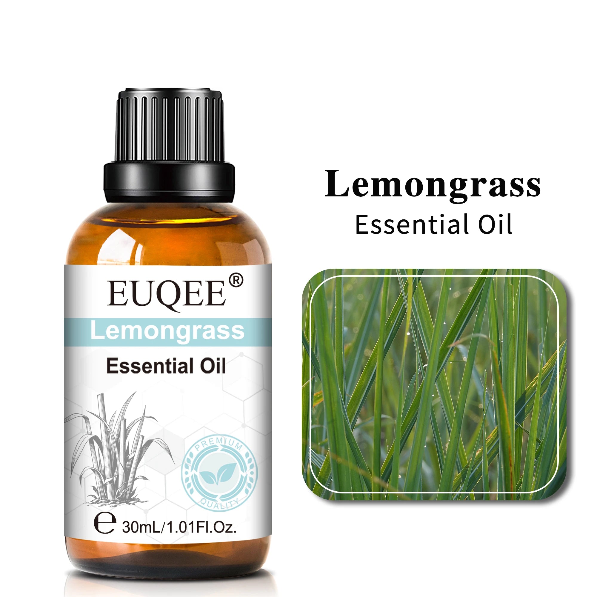 EUQEE 30ml Aromatherapy Essential Oil | Diffuser & Reed Oil