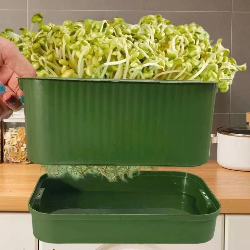Plastic Seedling Nursery Pots & Germination Tray | Garden