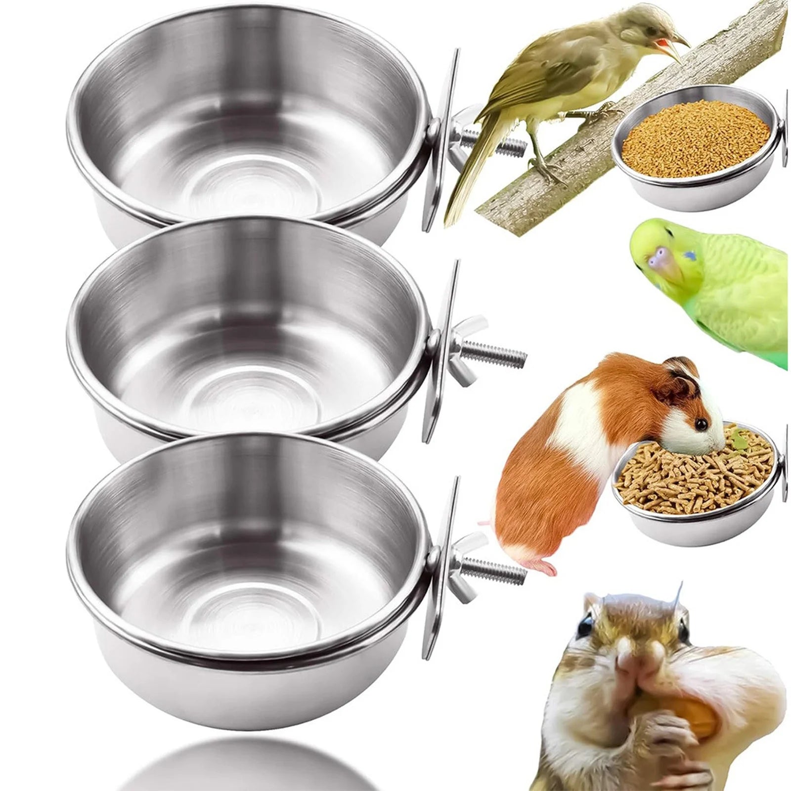 6-Pack Stainless Steel Clamp-On Bird Feeder Bowls for Cages Pet Feeder Bowl Set Oasis Select