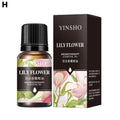 2025 NEW 10ml Essential Oils For Aroma Diffuser AirHumidifier Home Water-soluble Lavender Car Air Fresheners Perfume Refill Oasis Select Lily