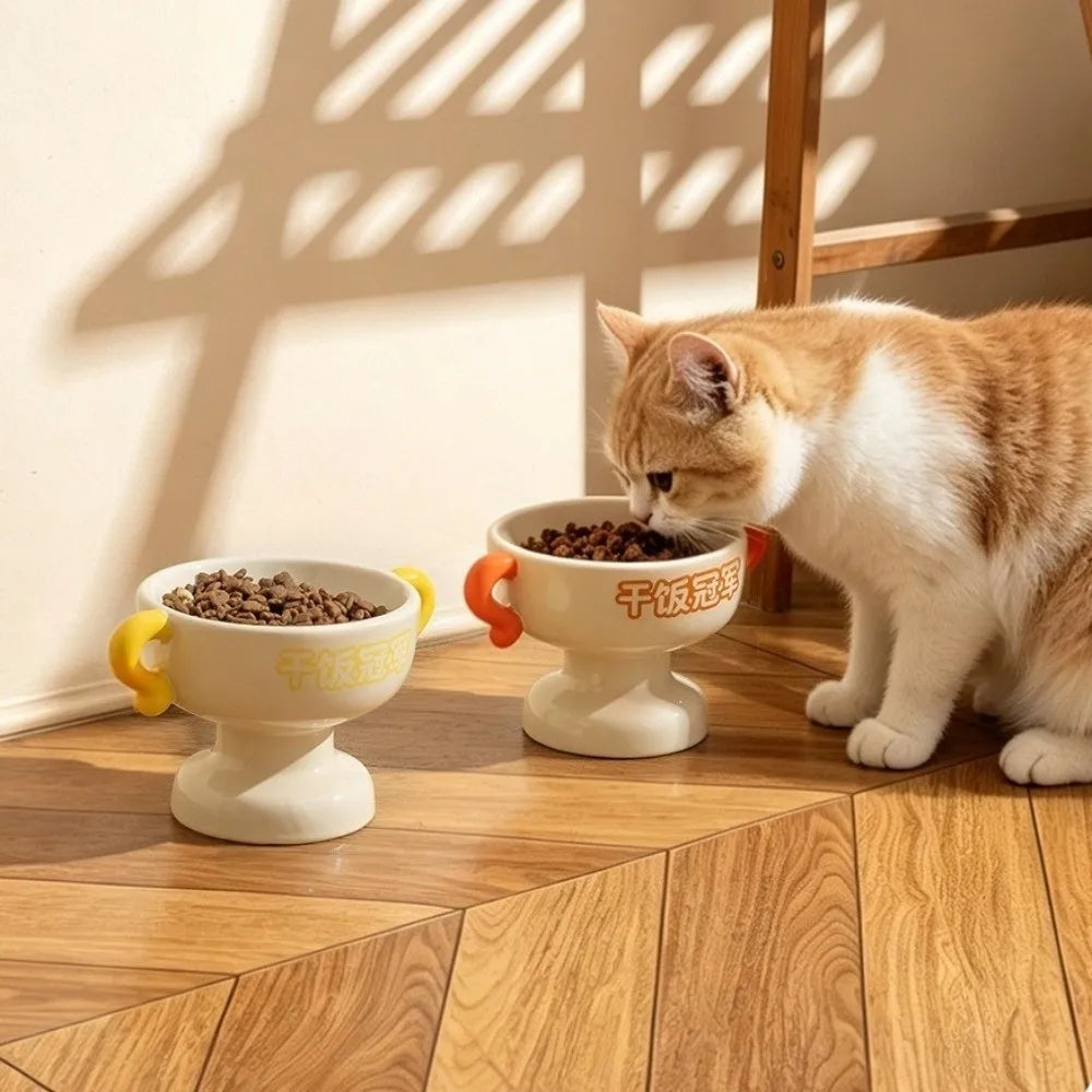 Elevated Ceramic Cat Bowl – Non-Slip Base | Food & Water
