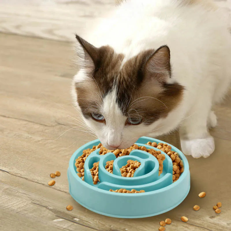 Pet Cat and Dog Slow Feeding Tray Pet Supplies Anti-Choking and Anti-Choking Cat and Dog Slow Feeding Tray Licking Pet Supplies Oasis Select