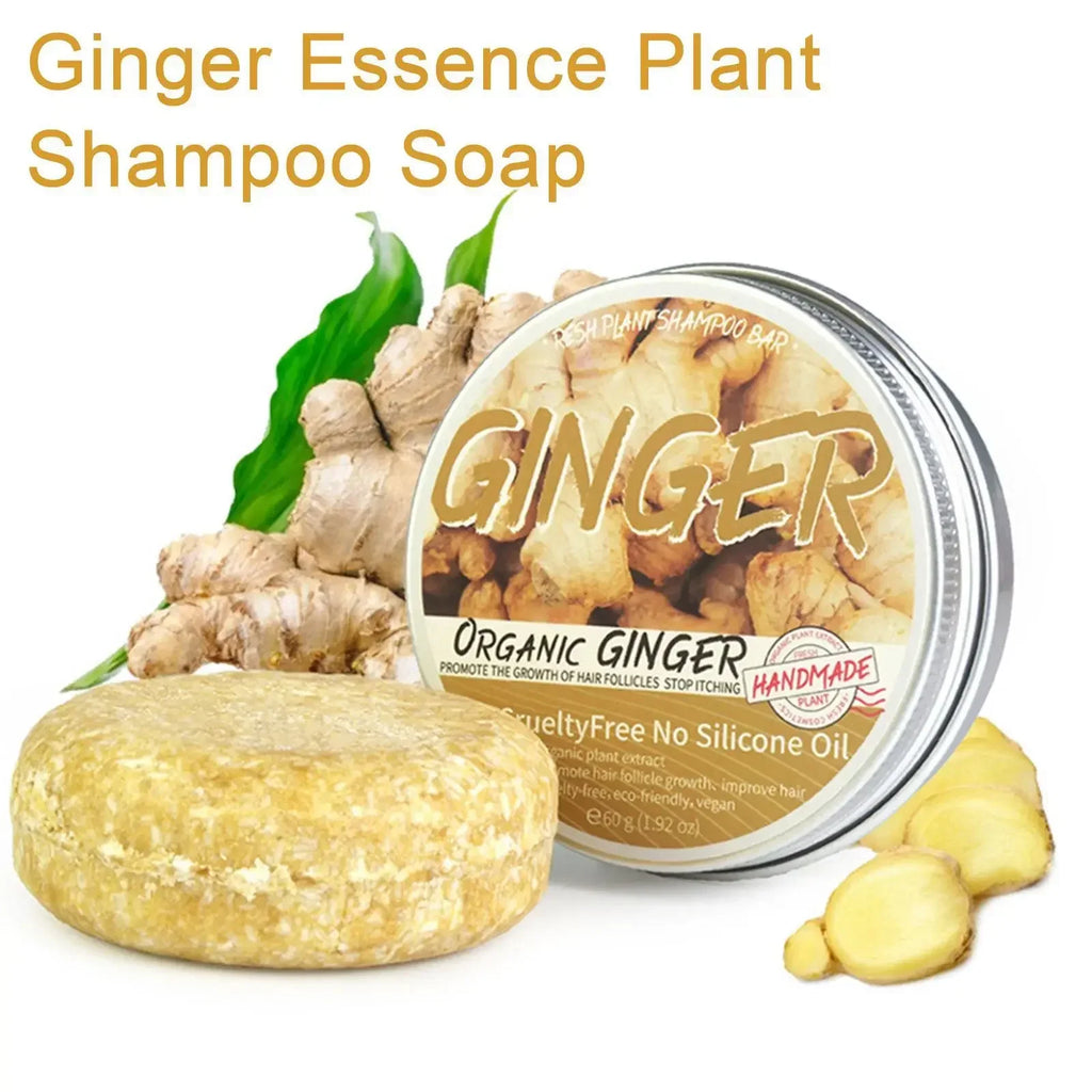 Ginger Polygonum Shampoo Bar – Natural Cold Processed Hair Care