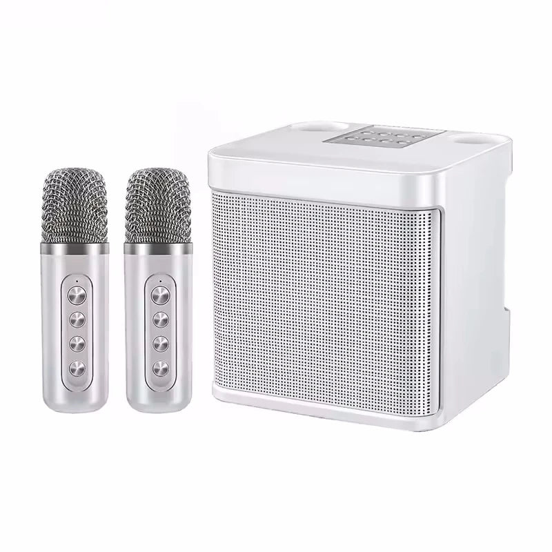 AyeBeau Portable Karaoke Bluetooth Speaker with Microphone
