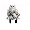Acrylic Owl Garden Stake – Waterproof Figurine Yard Decor