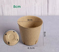 10/20pcs Garden Nursery Pots Pulp Seed Starter Pots Flower Propagation Container with Drainage Holes Home Gardening Tools Oasis Select 8cm 20pcs