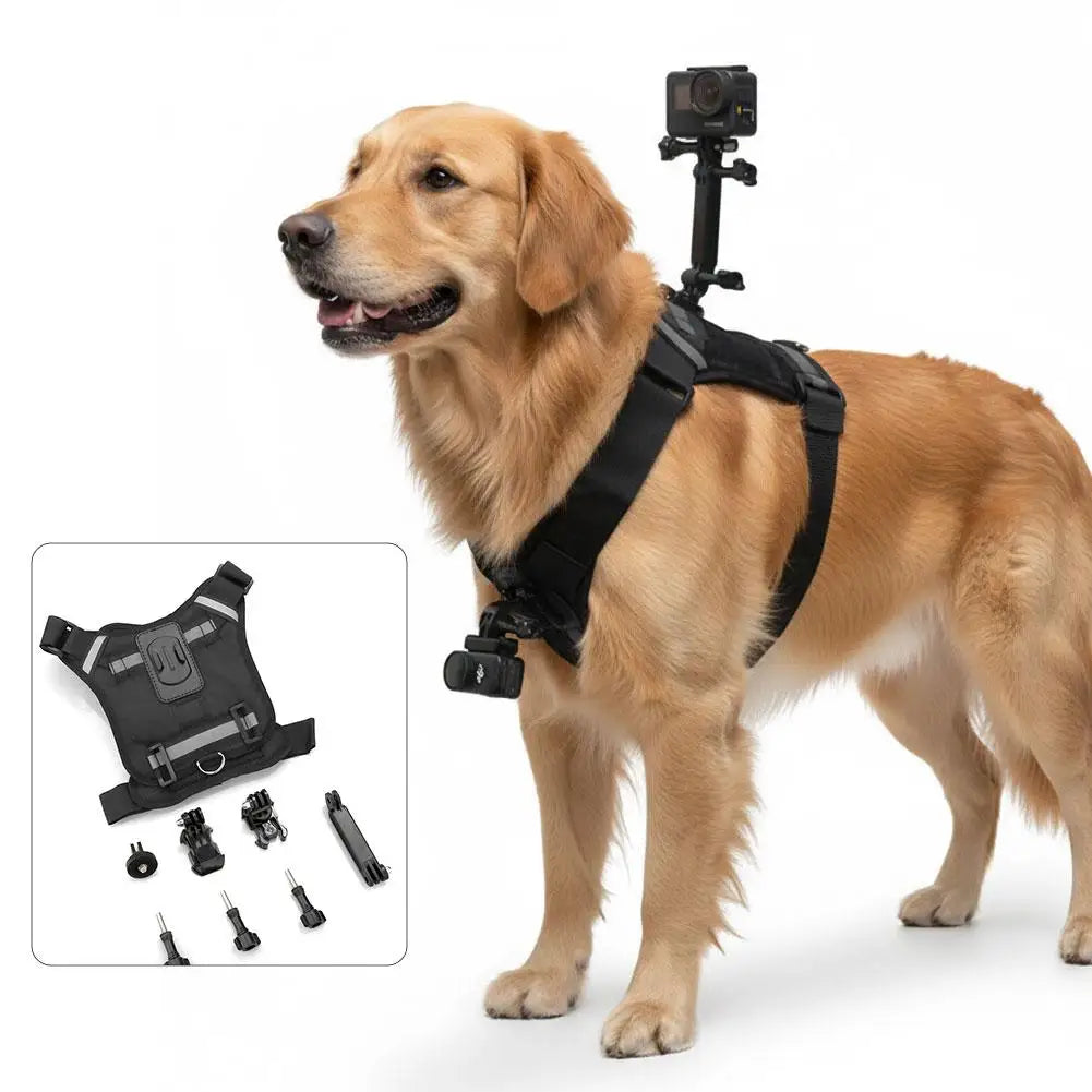 Dog Harness Chest Mount for GoPro & DJI Action Cameras – Pet POV