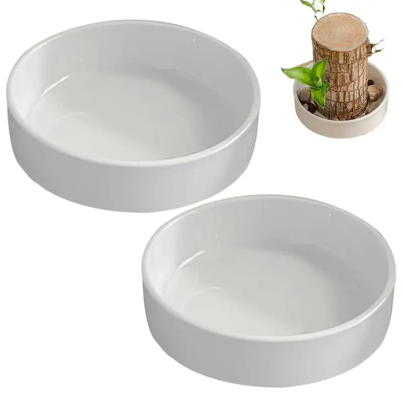 2pcs Brazilian Wood Pallet Desk Decor Elegant Ceramic Plates Plant Pot Base Brazilian Wood Tray Jewelry White Tray Decoration Oasis Select