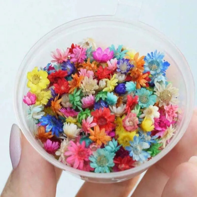 1box Small Resin Dried Flowers - Ideal for DIY Jewelry Earrings, Epoxy Art & Candle Making Art Craft Home Decor Photo Prop Oasis Select