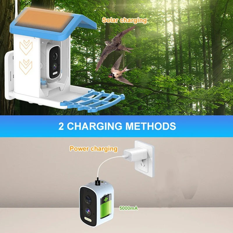 WISH Smart Bird Feeder 5MP HD AI Bird Recognition Solar Feeder Low Power Bird Feeder Oasis Select