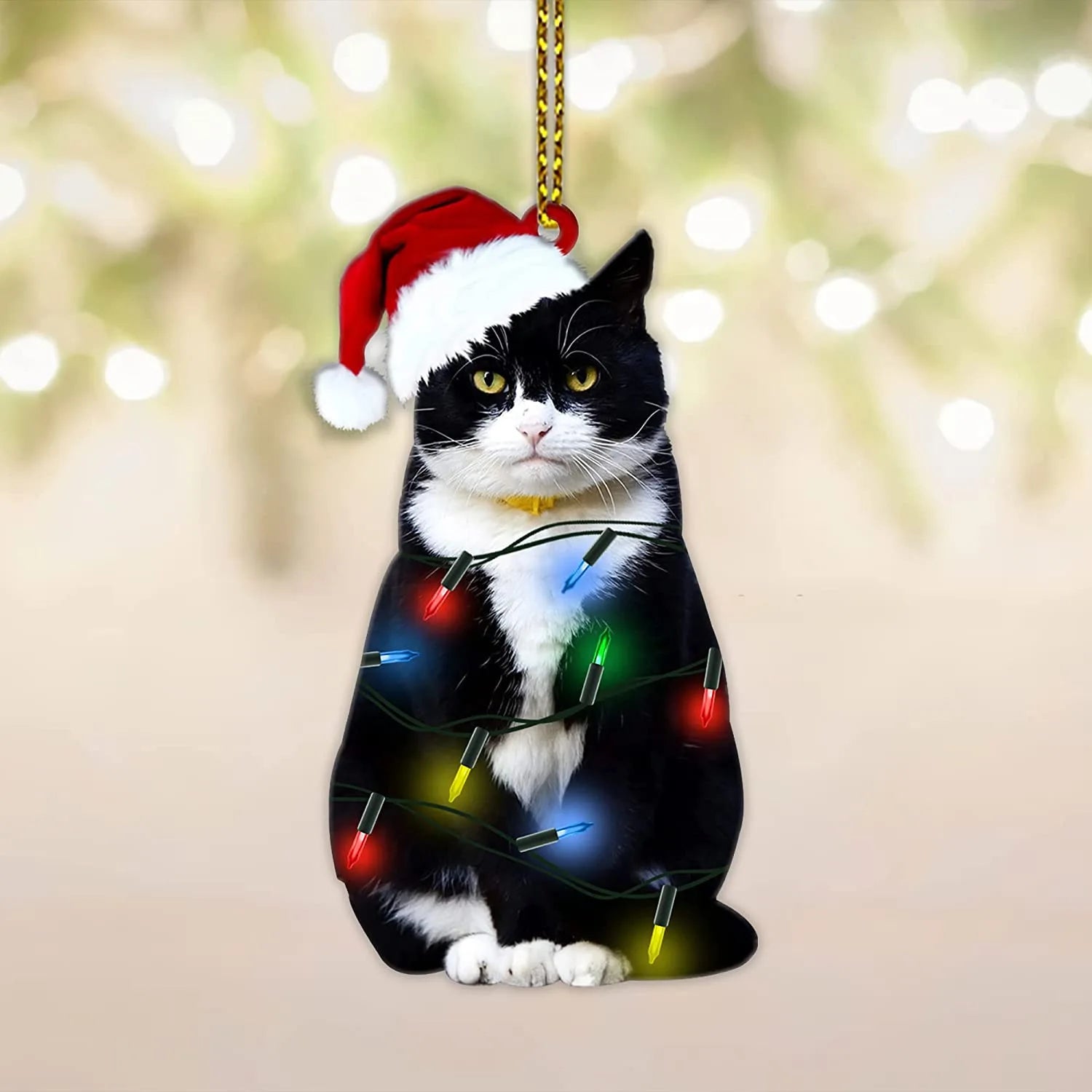 Charming Black Cat Christmas Ornament 2D Acrylic Hanging Decor for Tree Car Mirror Keychain Kid Xmas Gift Holiday Party Supplies Oasis Select Style A