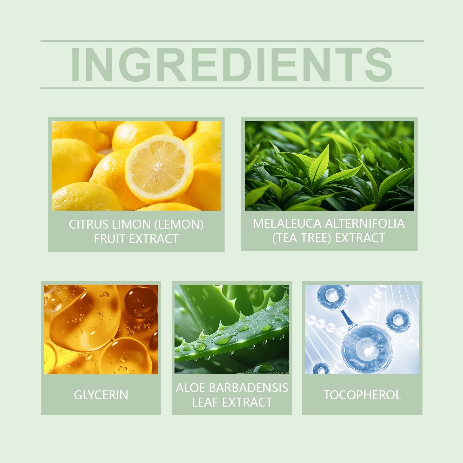 Purify Exfoliating Gel To Improve Dullness, Dryness, Deep Cleansing Pores, Brightening and Firming Oasis Select