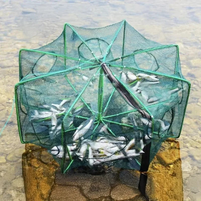 Collapsible Fishing Trap Portable Lightweight Fishing Basket Foldable Crab Cage for Riverbed Coastal Fishing Accessories Oasis Select