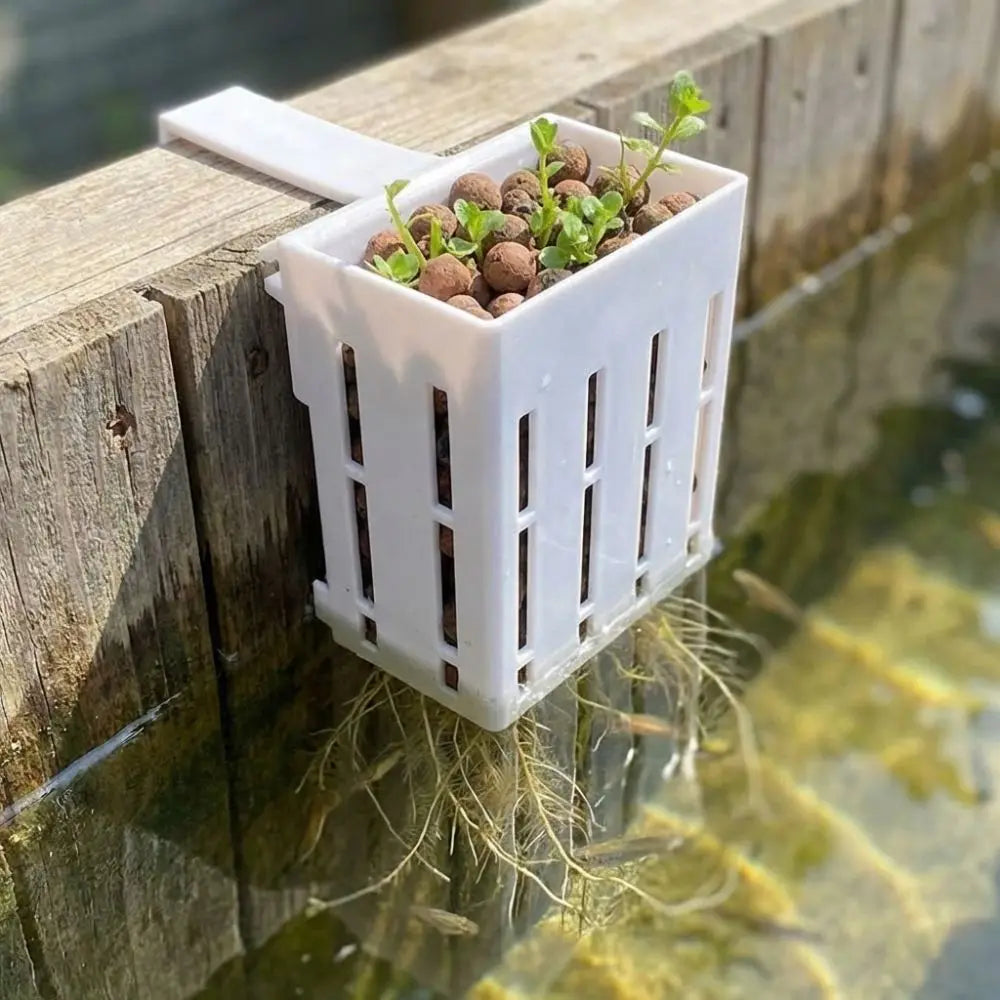 Wall-Mounted Aquarium Plant Basket | Aquatic Tank Planter 3-Pack