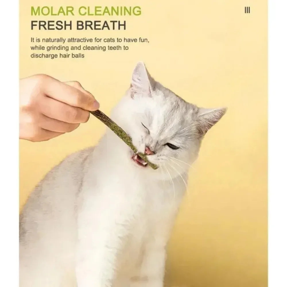 6pcs Natural Matatabi Cat Stick Mint Caught Bite Excited Rods Silvervine For Cat Teeth Cleaning Treating Pet Supply Cat Toys Oasis Select