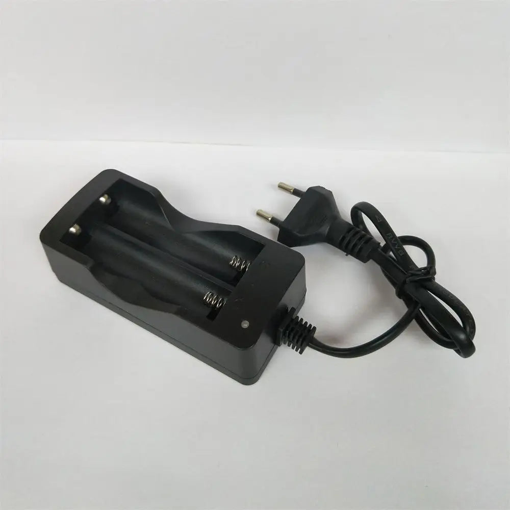 Port Auto Stop Charger Charging Charge Dock Lithium Battery Charger Batteries USB Charger Charger Adapter Battery Charger Oasis Select