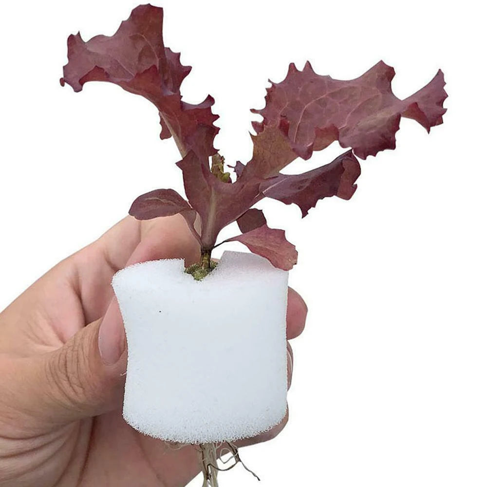 50PCS Plant Net Cup & 50PCS Cylinders Sponge For Hydroponics Aquaponics Orchids Plant Starting UV Resistant Plastic Net Cups Oasis Select