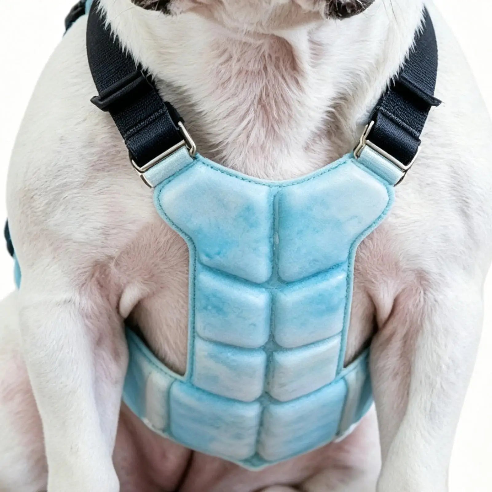 Dog Cooling Vest – Gel Harness Jacket for Summer Walks & Outdoor