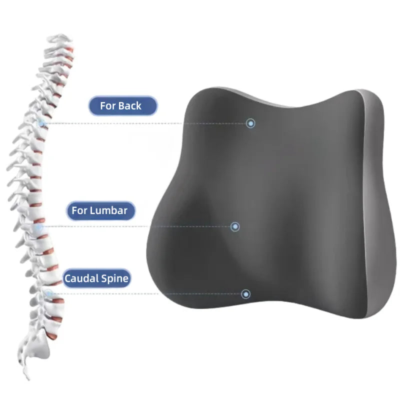Ergonomic Memory Sponge Lumbar Pillow Orthopedic Chiropractic Back Support Pad for Office Chair Posture Correction Lumbar Pillow Oasis Select