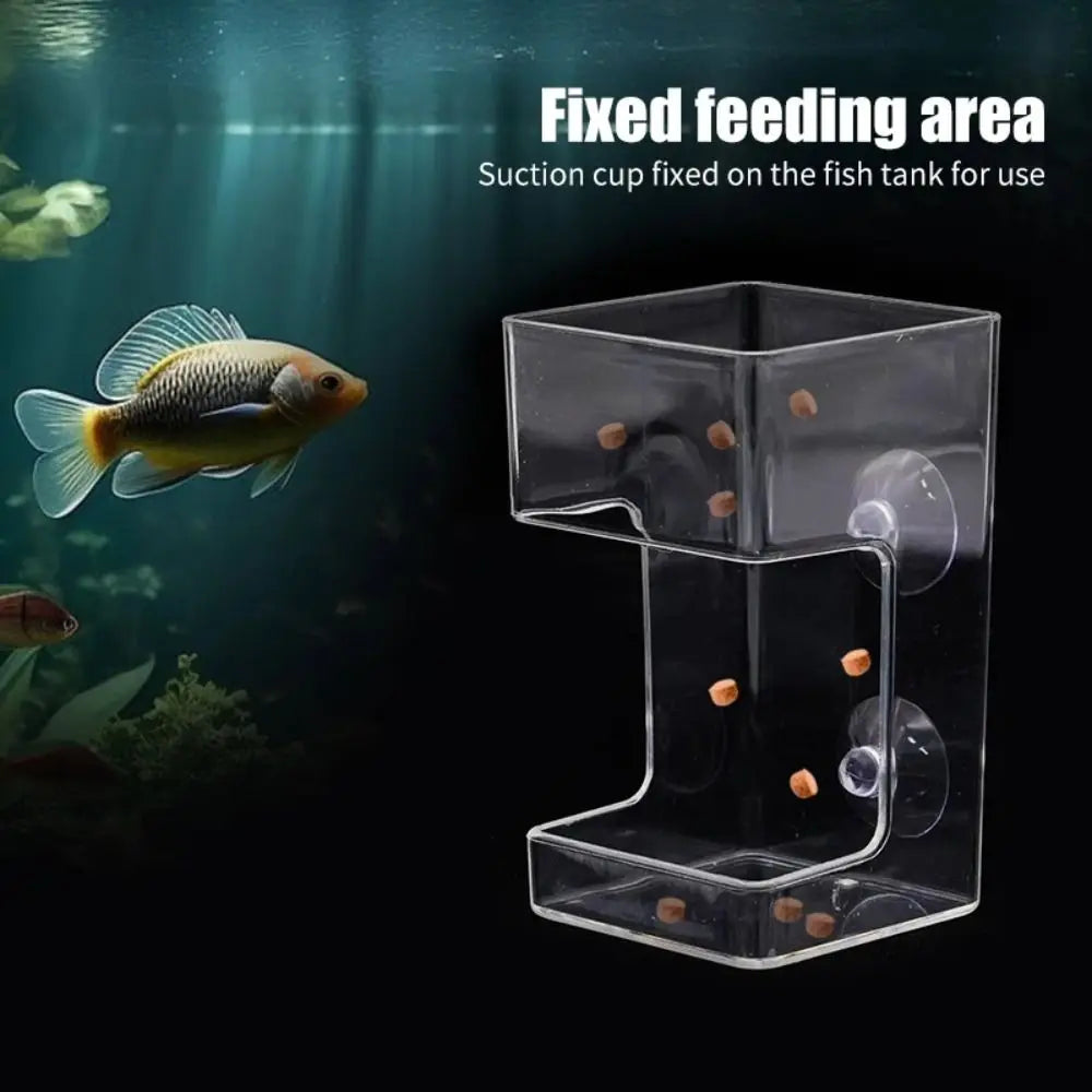 Acrylic Aquarium Feeders Ring Transparent Suction Cup Fish Tank Food Dispenser Fixed-Point Durable Floating Food Tray Feeder Oasis Select