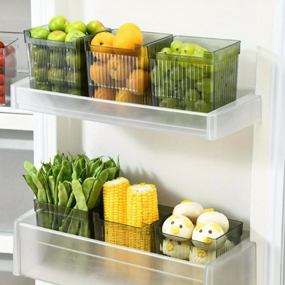 Refrigerator Side Door Organizer, Portable Transparent Food Storage Box for Fruit, Vegetable, Kitchen Organizers Accessories Oasis Select